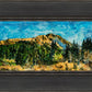 Mountain Meadow