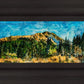 Mountain Meadow