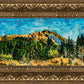 Mountain Meadow