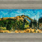 Mountain Meadow