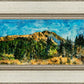 Mountain Meadow