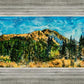 Mountain Meadow