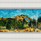 Mountain Meadow