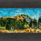 Mountain Meadow