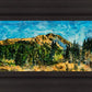 Mountain Meadow