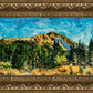 Mountain Meadow