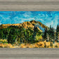 Mountain Meadow
