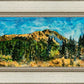 Mountain Meadow