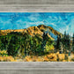 Mountain Meadow
