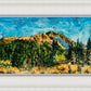 Mountain Meadow