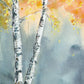 Aspen Fog