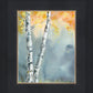 Aspen Fog