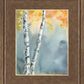 Aspen Fog