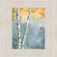 Aspen Fog