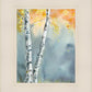 Aspen Fog