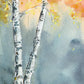 Aspen Fog