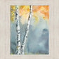 Aspen Fog