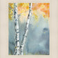 Aspen Fog
