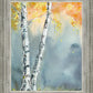 Aspen Fog
