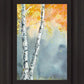 Aspen Fog