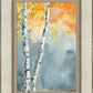 Aspen Fog