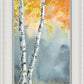 Aspen Fog