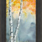 Aspen Fog