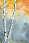 Aspen Fog