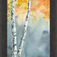 Aspen Fog