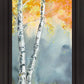 Aspen Fog