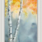 Aspen Fog