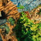 Timpanogos Cave Trail