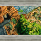 Timpanogos Cave Trail