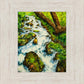 Summer Cascade
