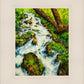 Summer Cascade