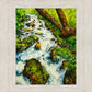 Summer Cascade