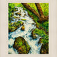 Summer Cascade