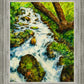 Summer Cascade