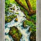 Summer Cascade