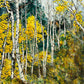 The Golden Wood