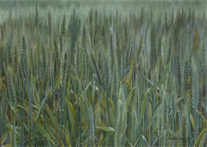 The Wheat And The Tares