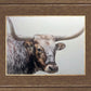 Longhorn