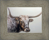 Longhorn