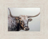 Longhorn