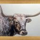 Longhorn