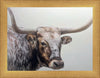 Longhorn