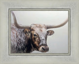 Longhorn