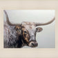 Longhorn