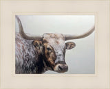 Longhorn