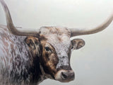 Longhorn